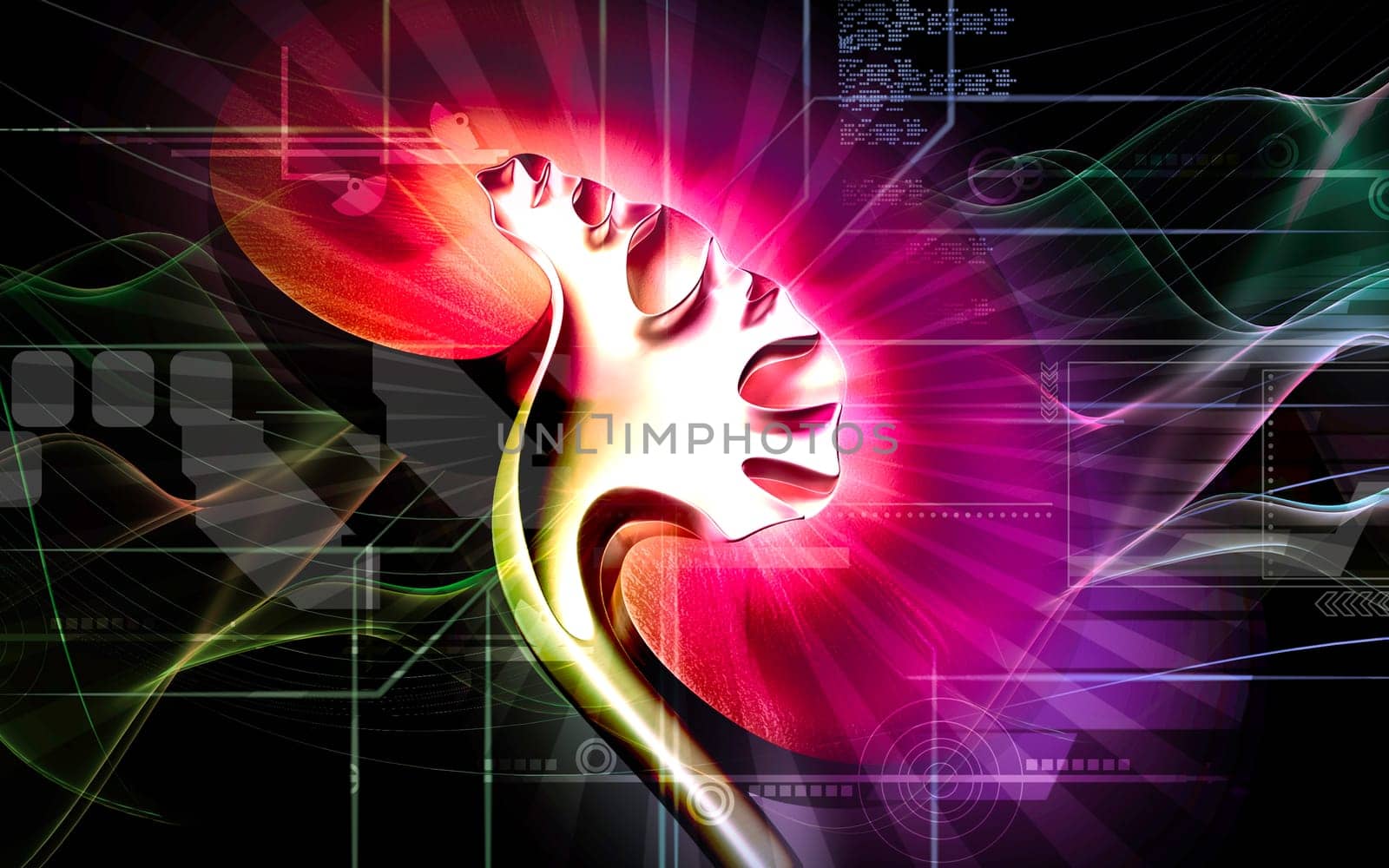 Digital illustration of kidney in colour background