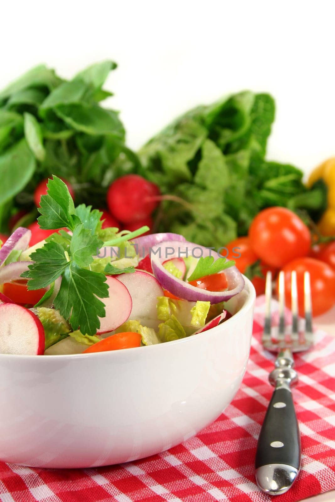 mixed salad with lettuce hearts,tomato and radishes
