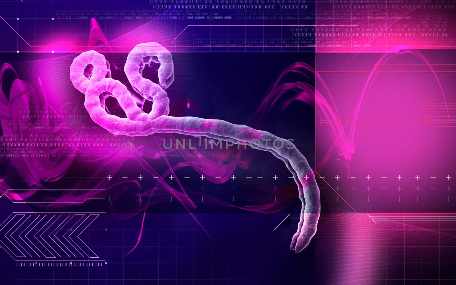 Digital illustration of Ebola virus in colour background