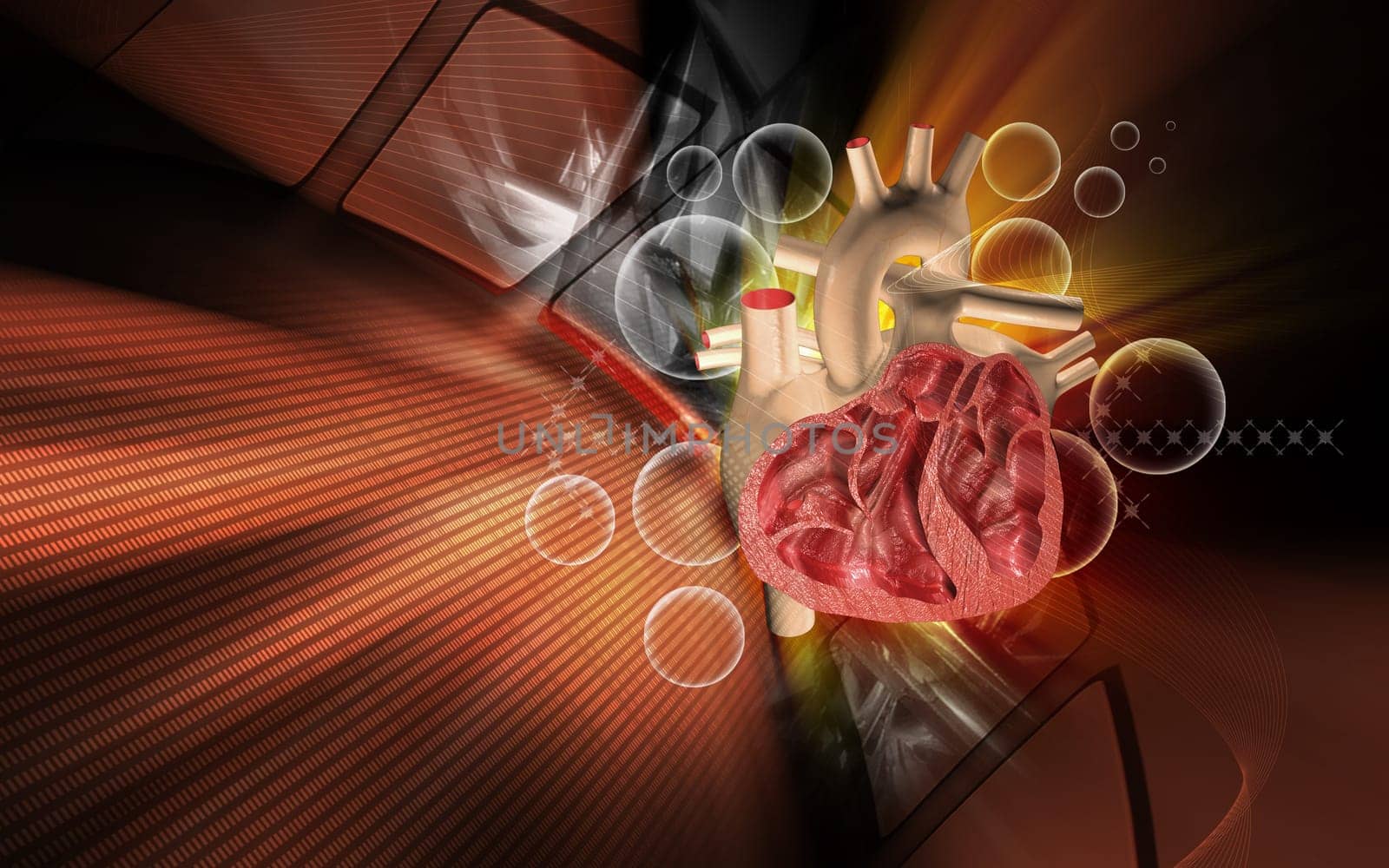 Digital illustration of heart in colour background