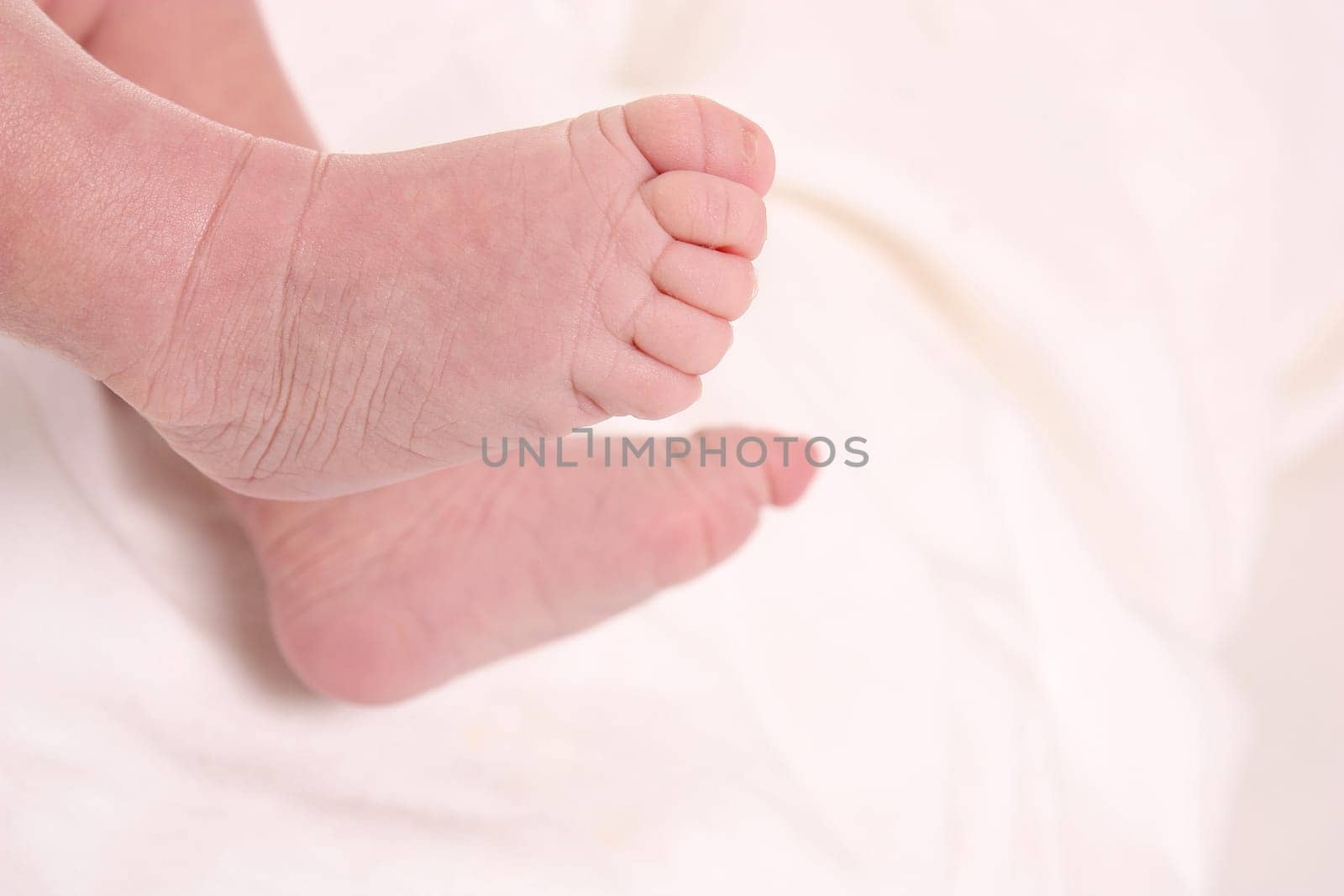 baby,newborn,birth,foot,feet,foot,family,child,naked,skin,detail,close-up,cohesion,love,affection,white,happiness,offspring,baby foot,toe,leg