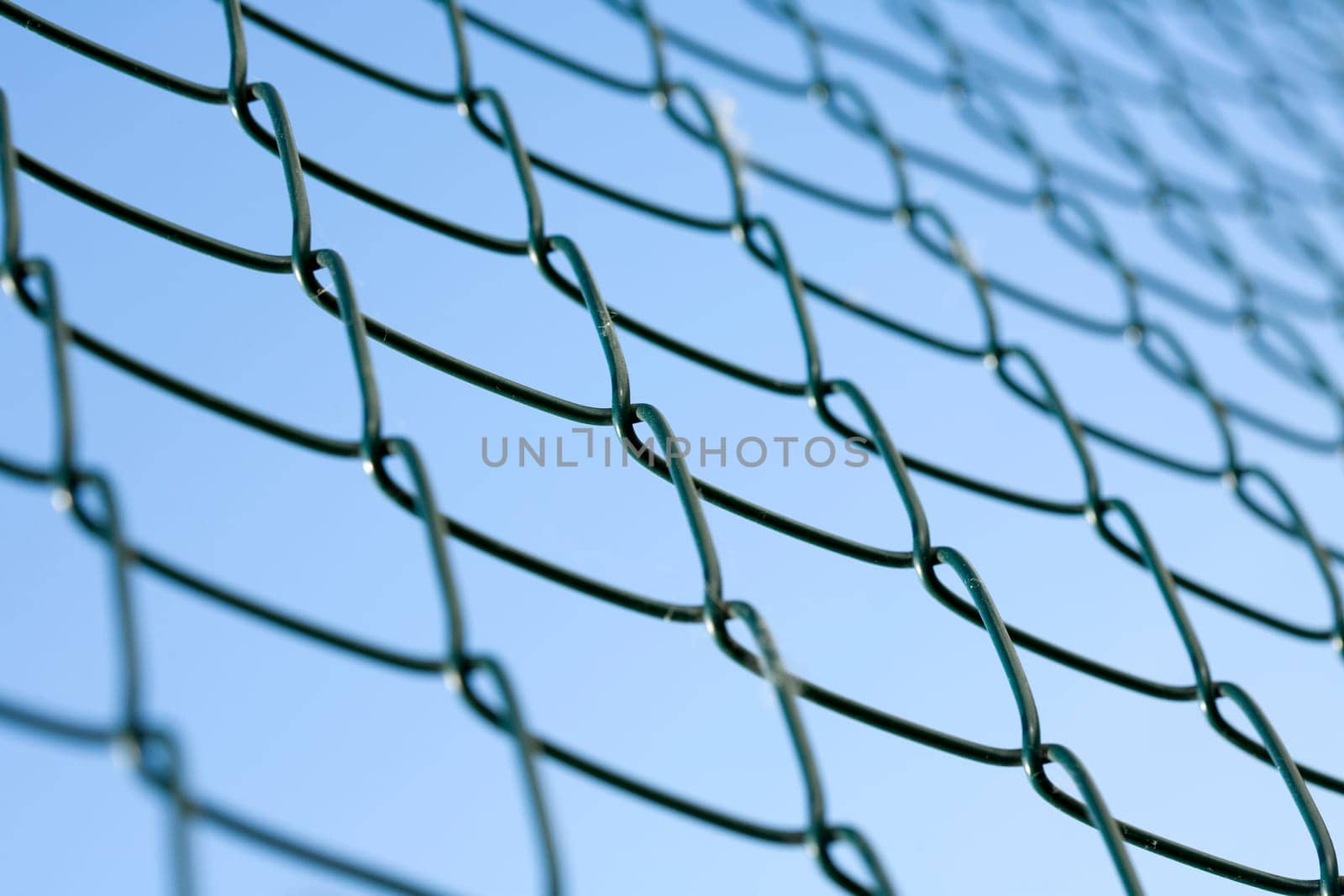 Wire mesh fence