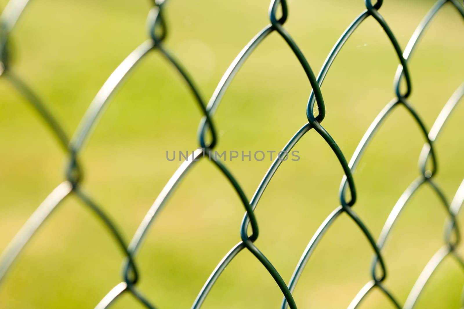 Wire mesh fence