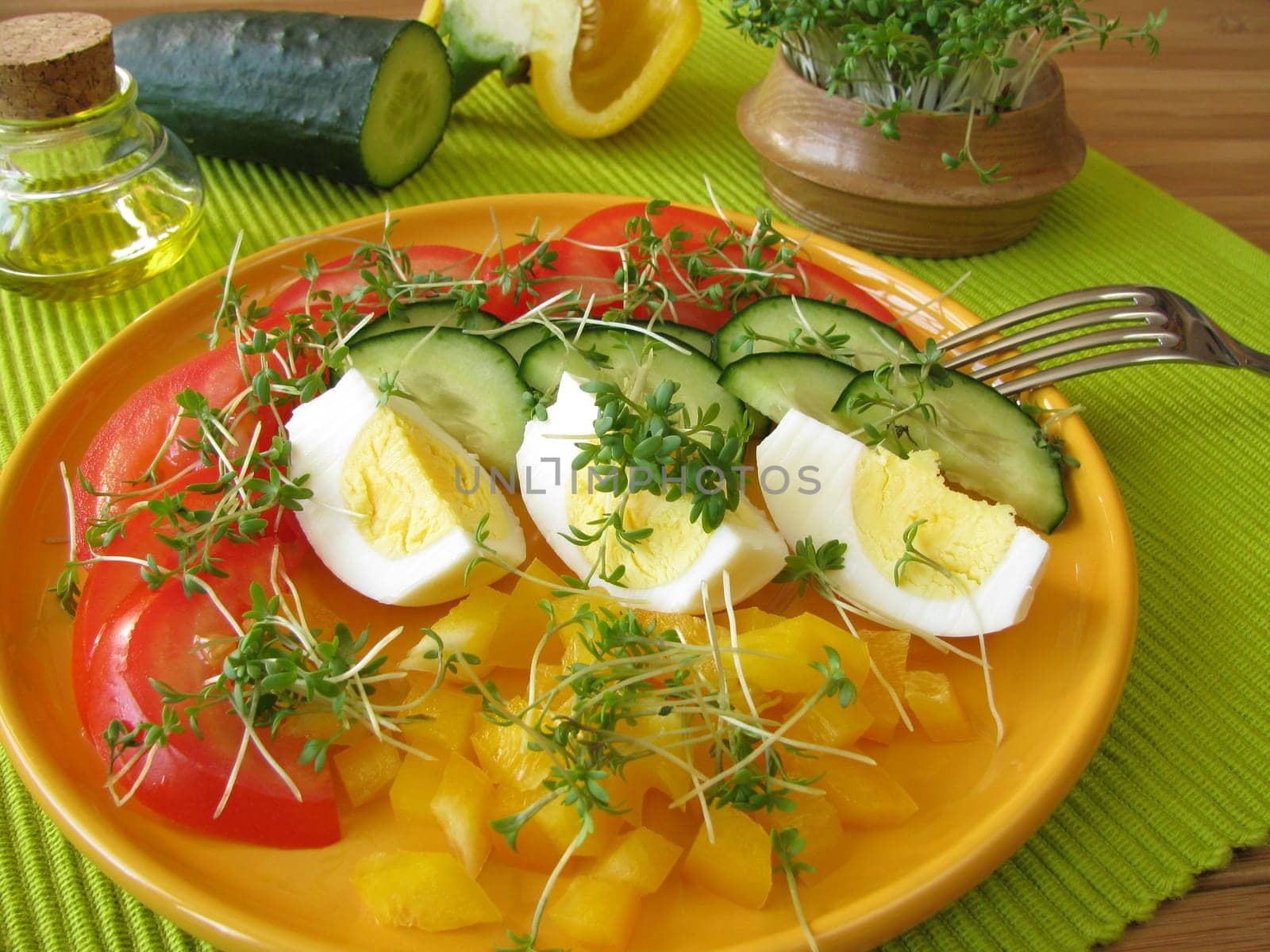 Colorful salad with cress and egg
