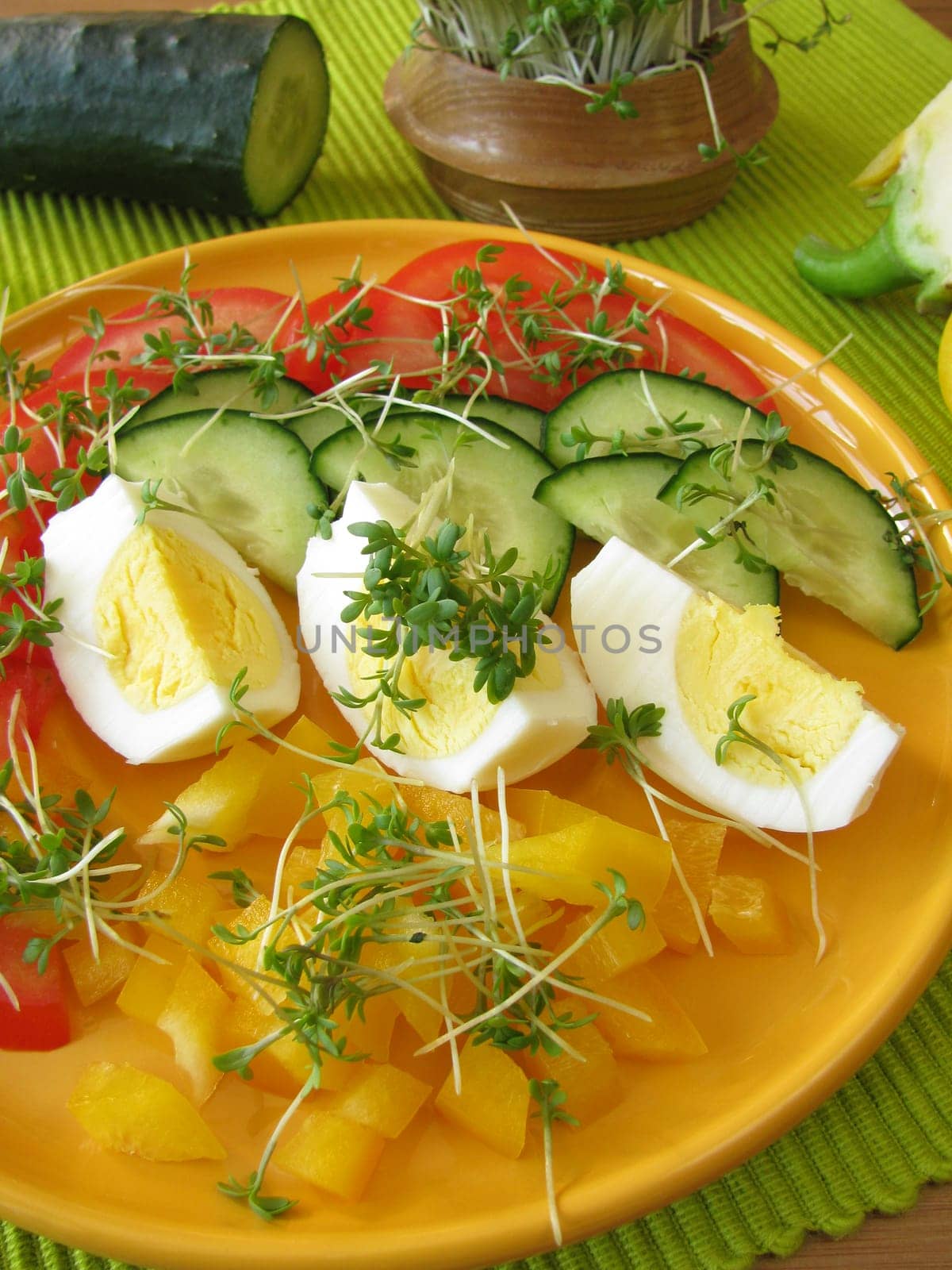 Colorful salad with cress and egg