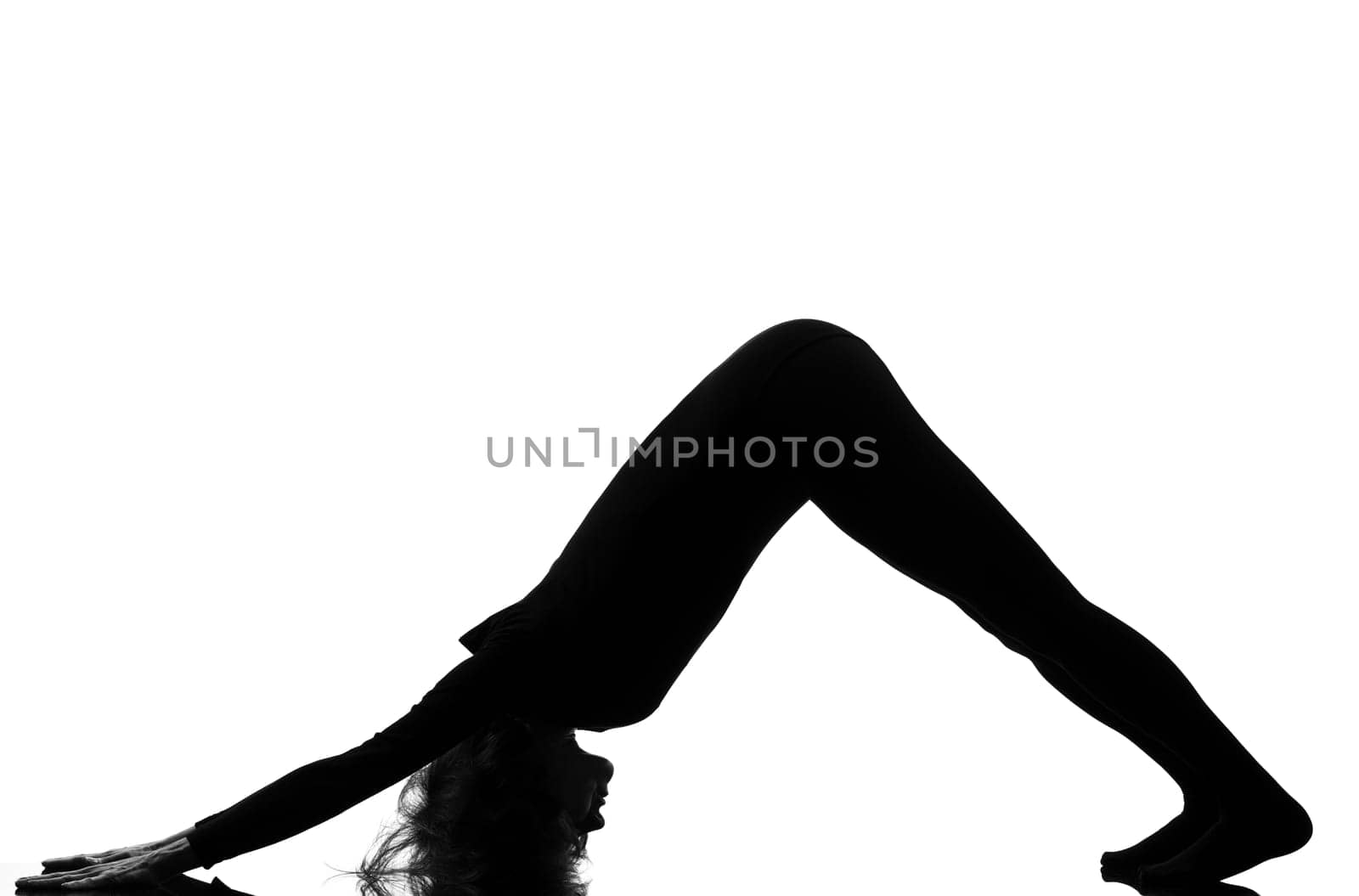 adho mukha svanasana woman yoga pose posture position in silouhette on studio white background Downward Facing Dog Position