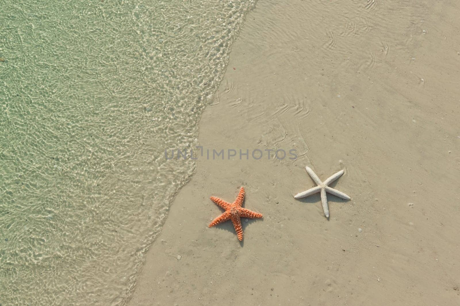 Idyllic summer vacation background with copy space