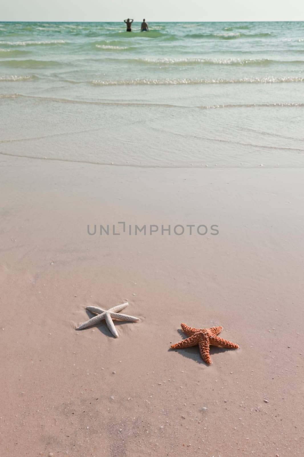 Idyllic summer vacation background with copy space