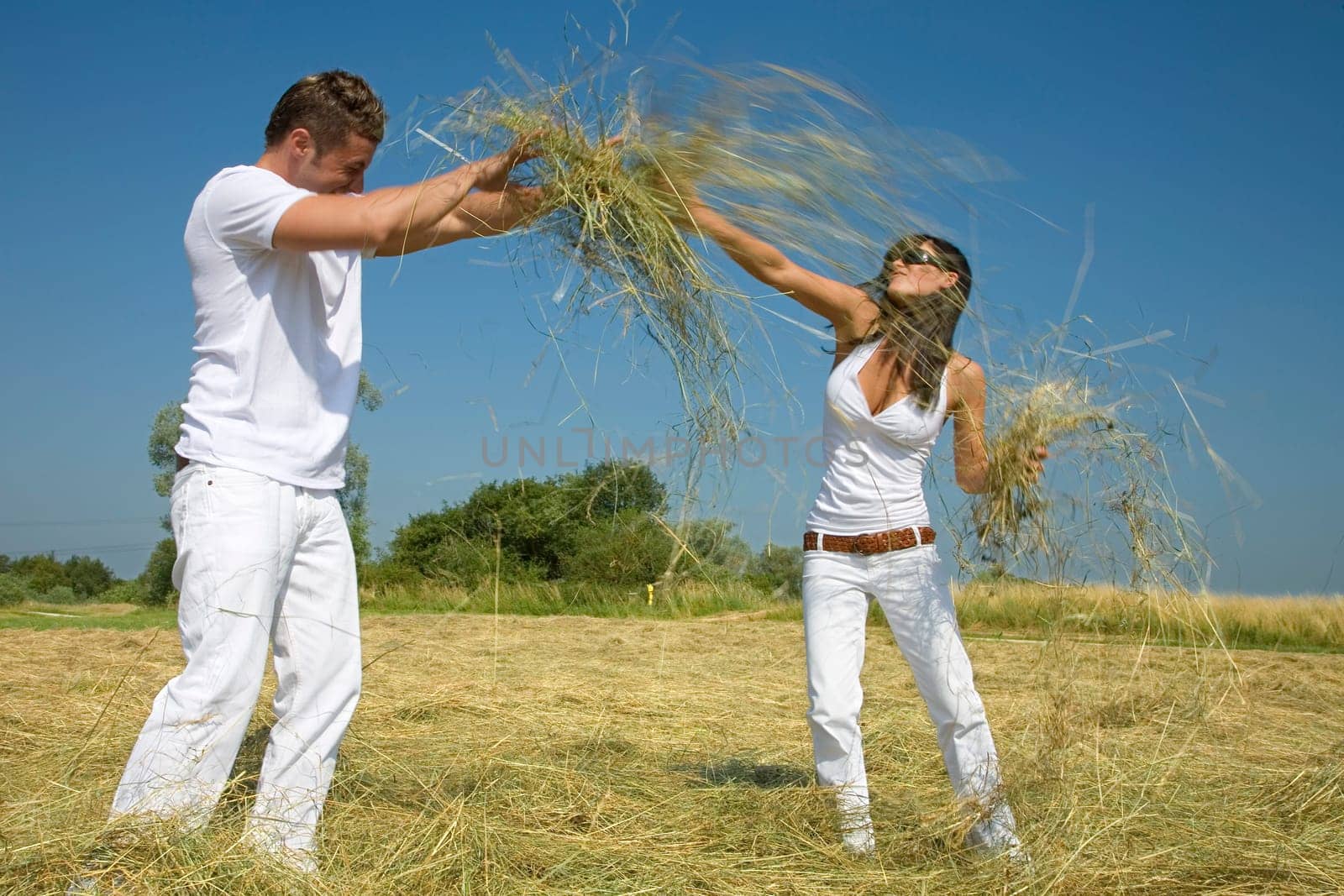 Hay Battle
