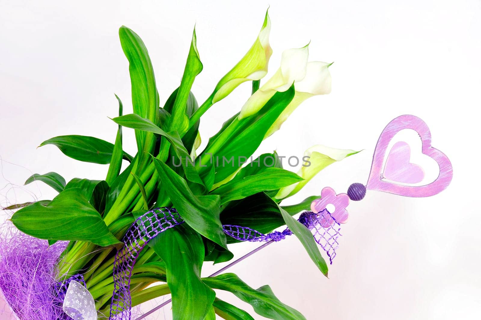 Calla Blossom Flowerpot Purple