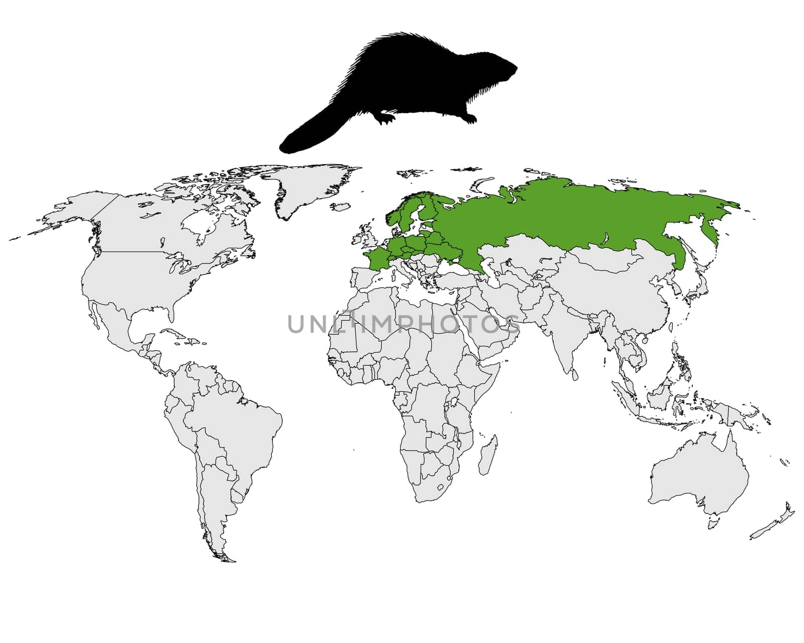Occurrence of European beavers