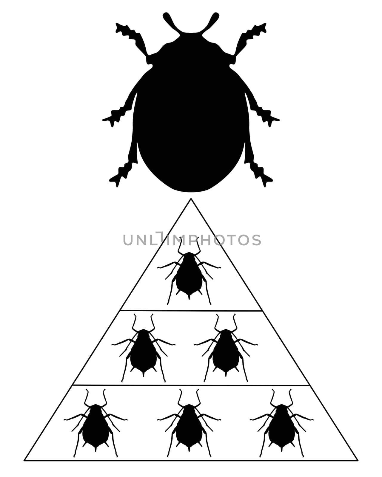 Ladybug Food Pyramid