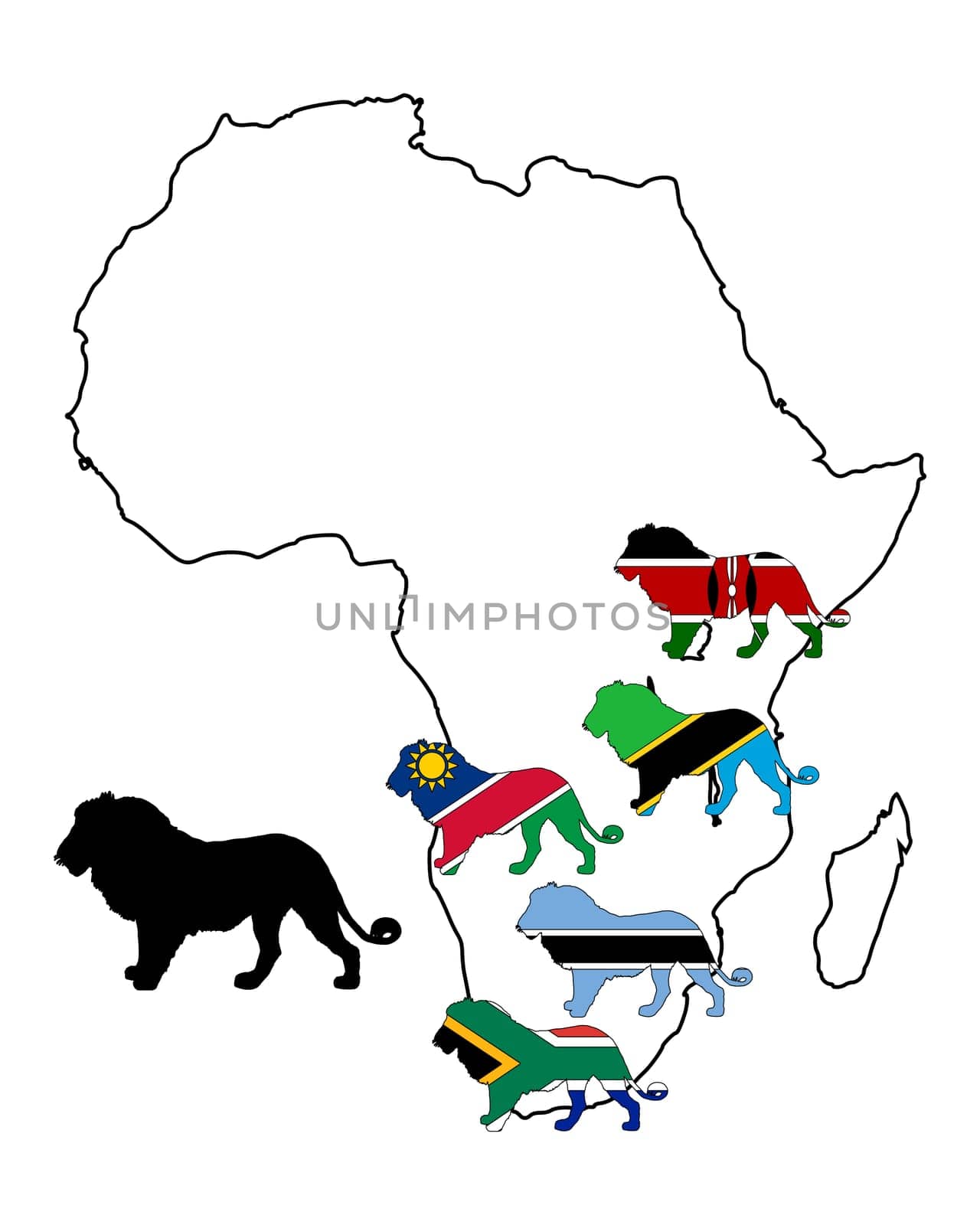 Africa Lions