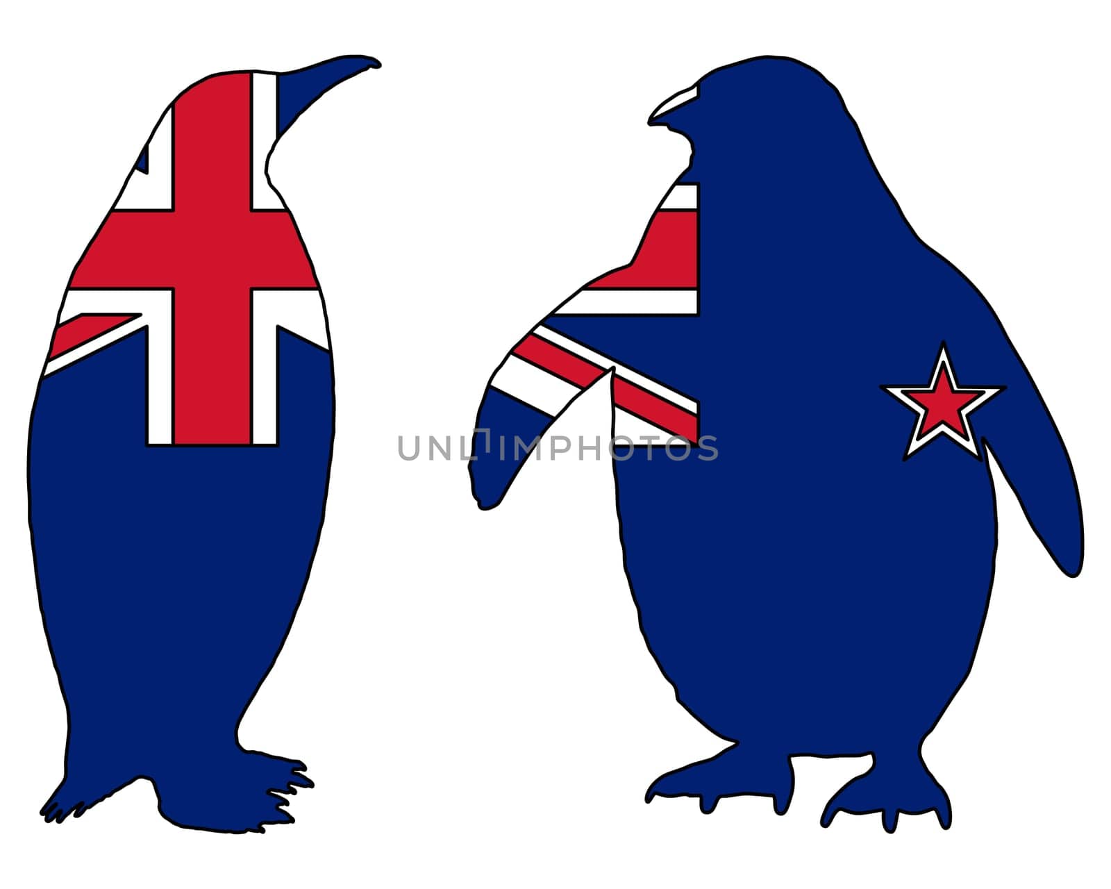 Penguin New Zealand