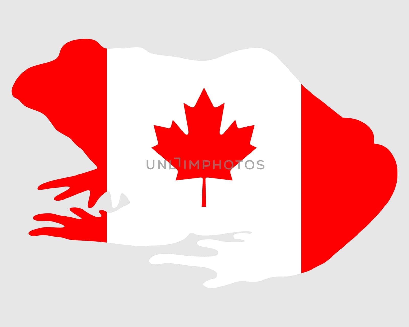 Bullfrog Canada