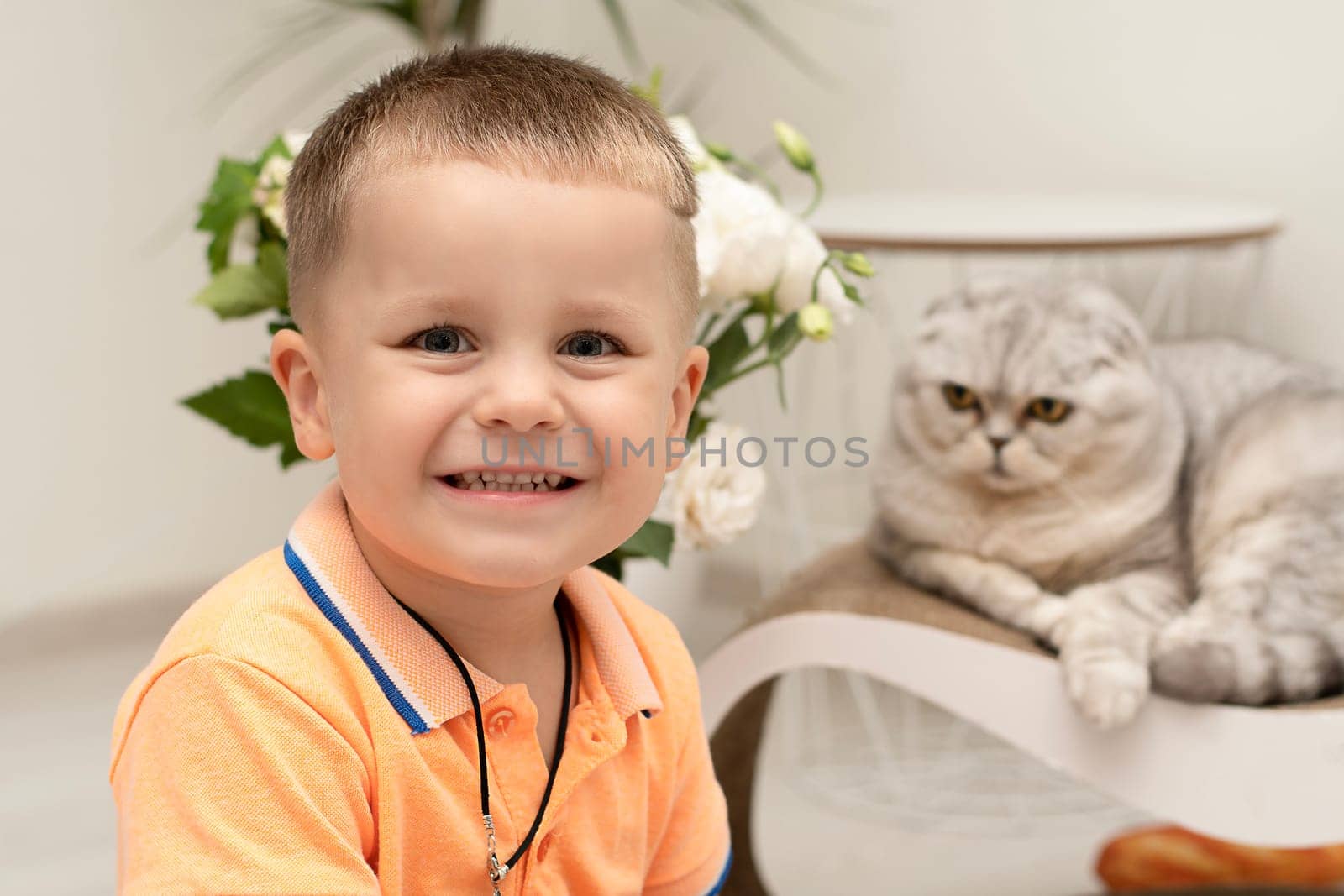 Portrait of a beautiful boy. The child looks into the frame, next to it lies a lop-eared Scottish cat on a claw sharpener. Home interior.