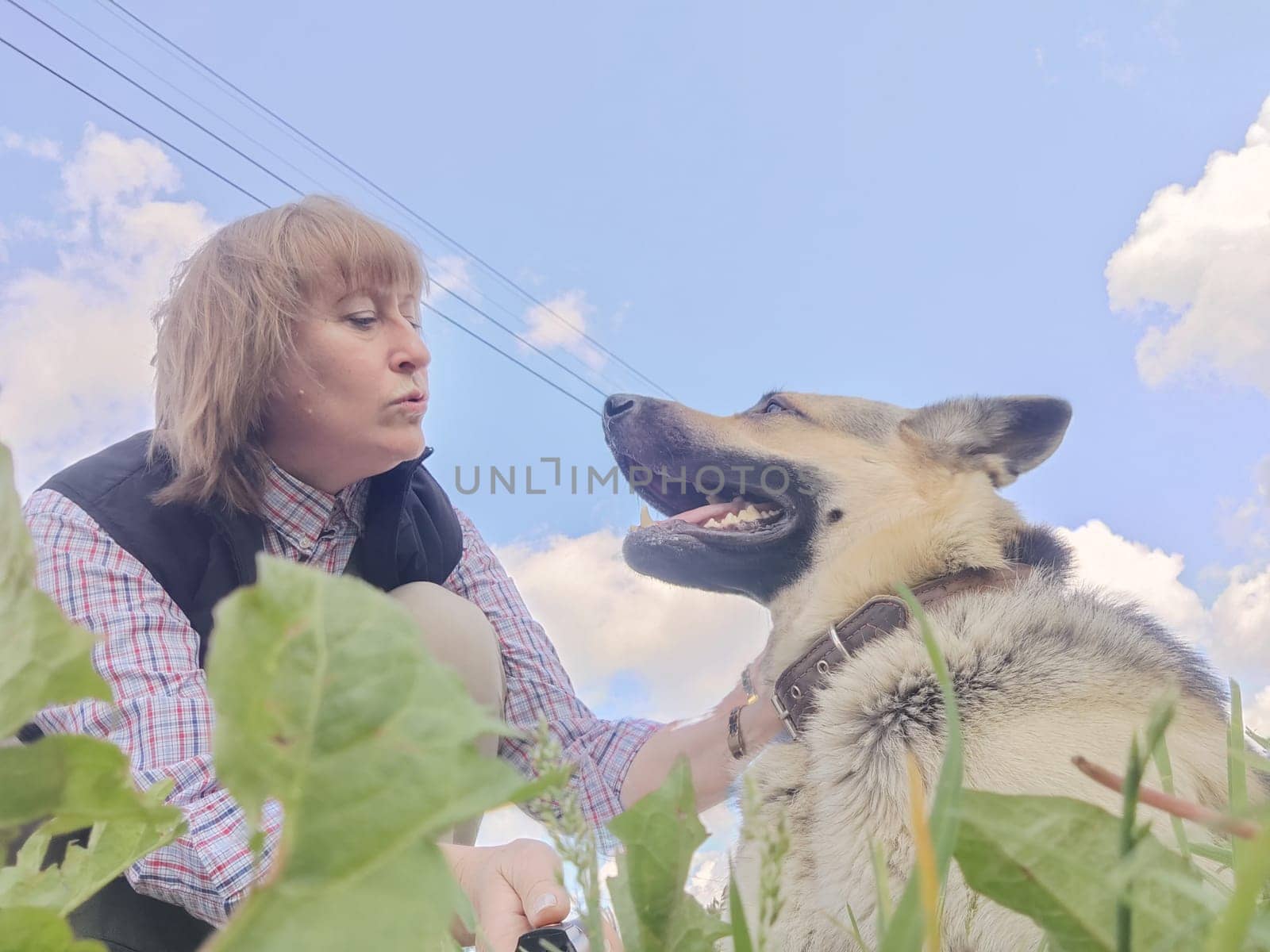 A girl or a woman and a German shepherd or Eastern European Shepherd dog in the forest, in nature, on a spring, summer, or autumn day and blue sky. The concept of friendship between humans and animals by keleny