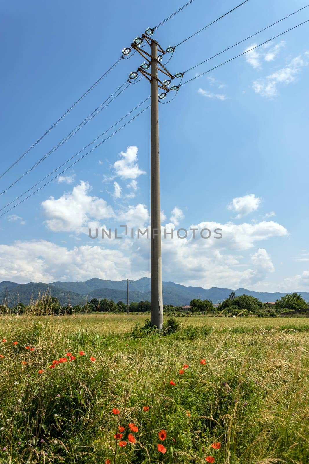 Electric pole by germanopoli