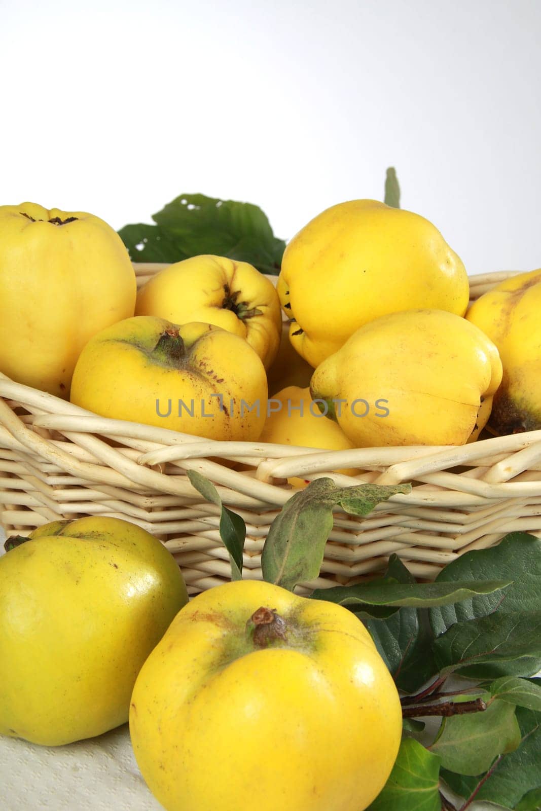 Quinces