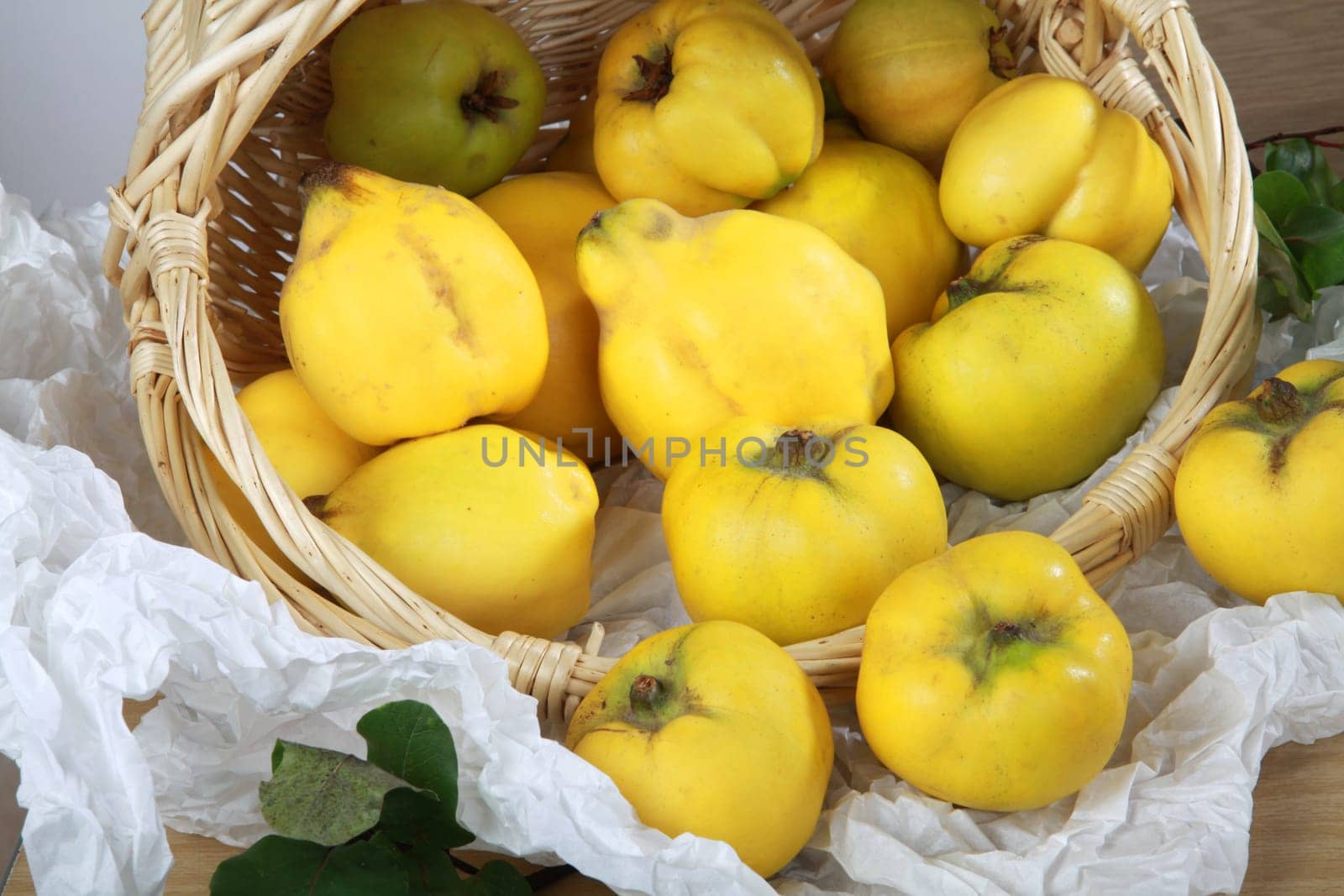 Quinces