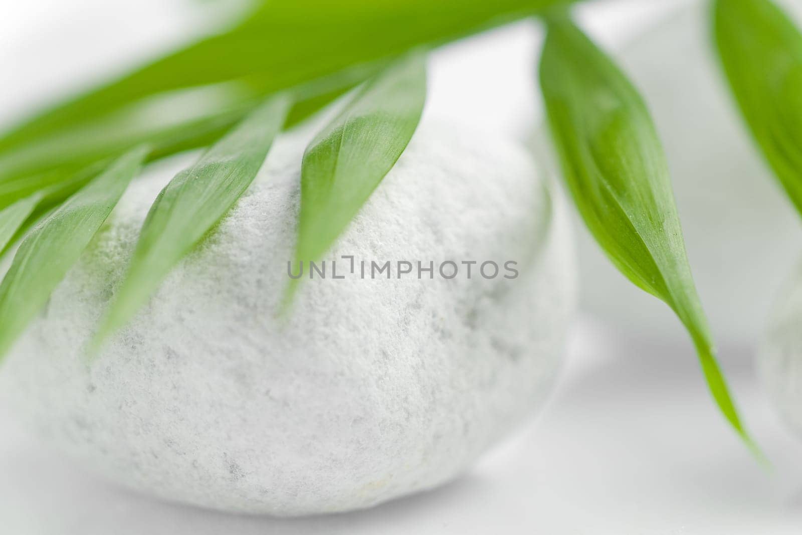 Green light leaves lie idyllically on white stones