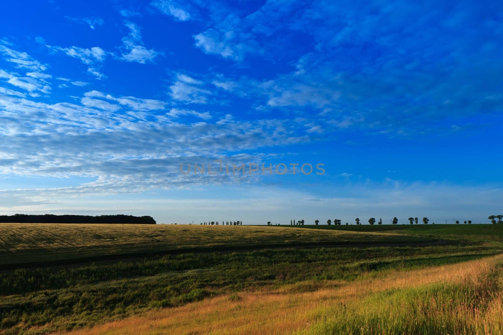 agricultural field and a blue sky with clouds