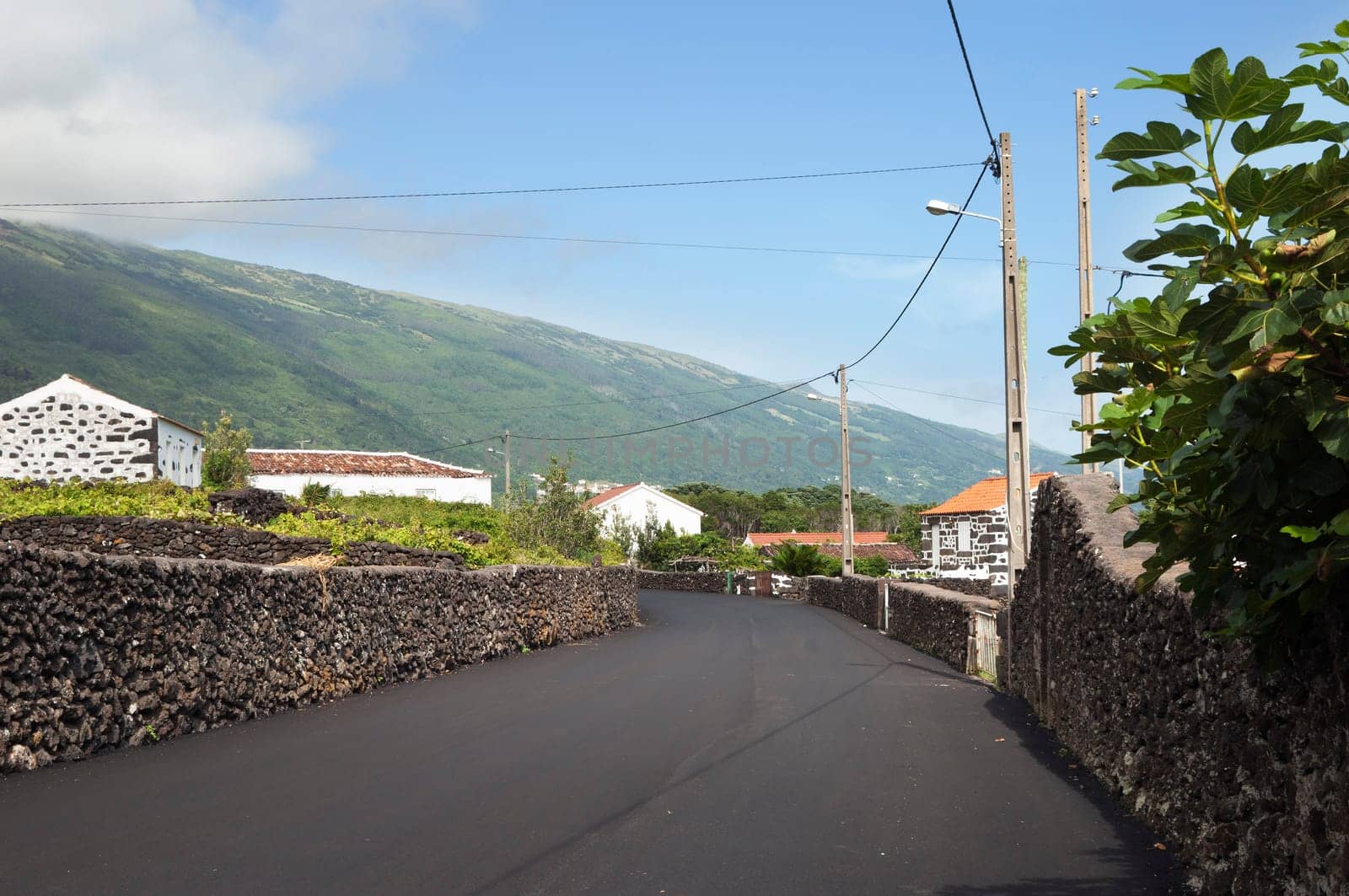 Country road in Pico island, Azores