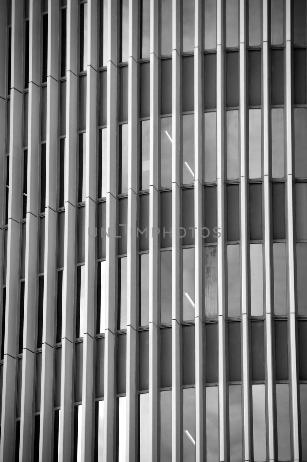 Glass facade of a modern office building. Black and white.