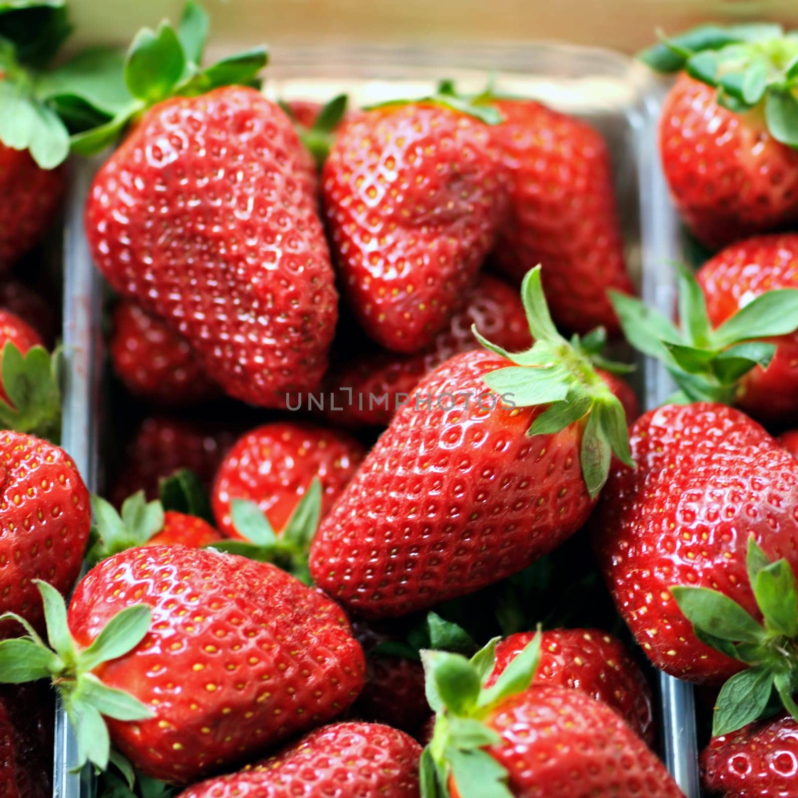 Freshly picked strawberries in plastic containers background.