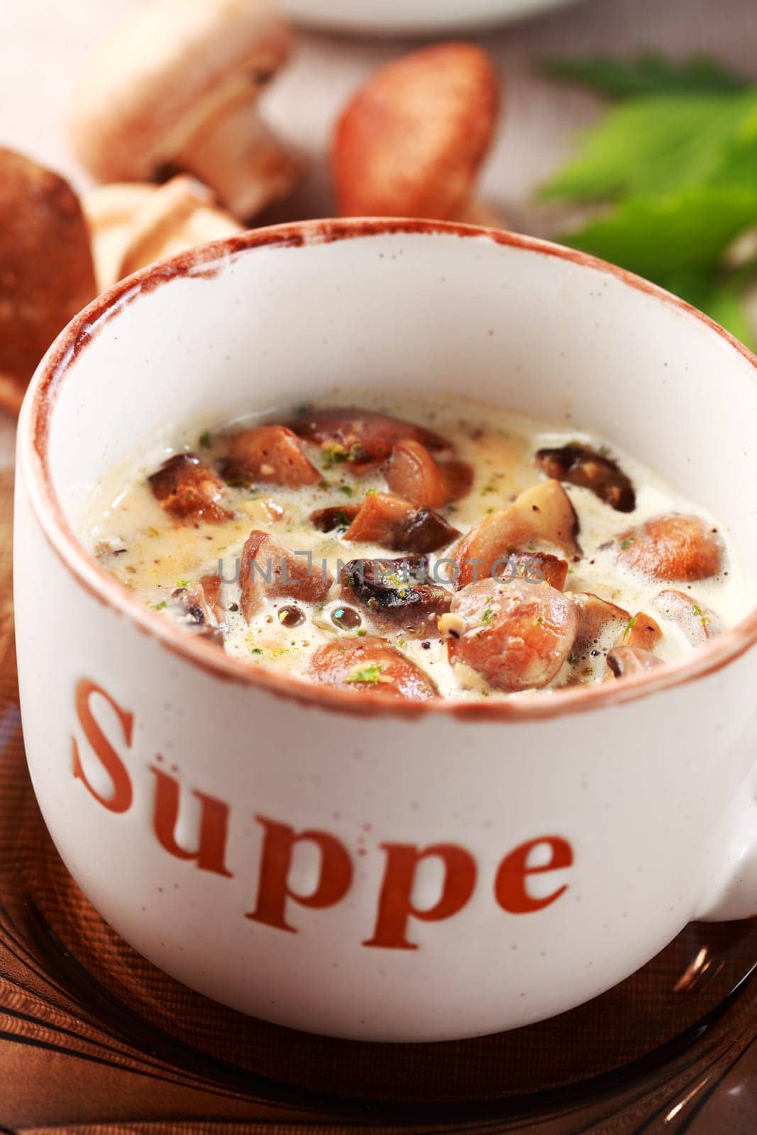 Mushroom soup with field mushroom (agaricus) and shiitake mushroom