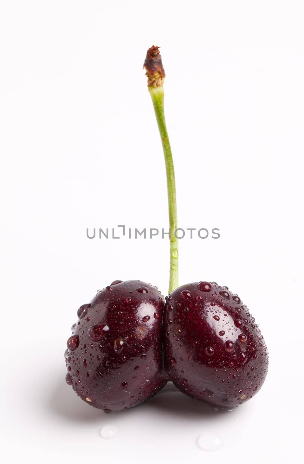 Wet Double Cherry Stem on white background