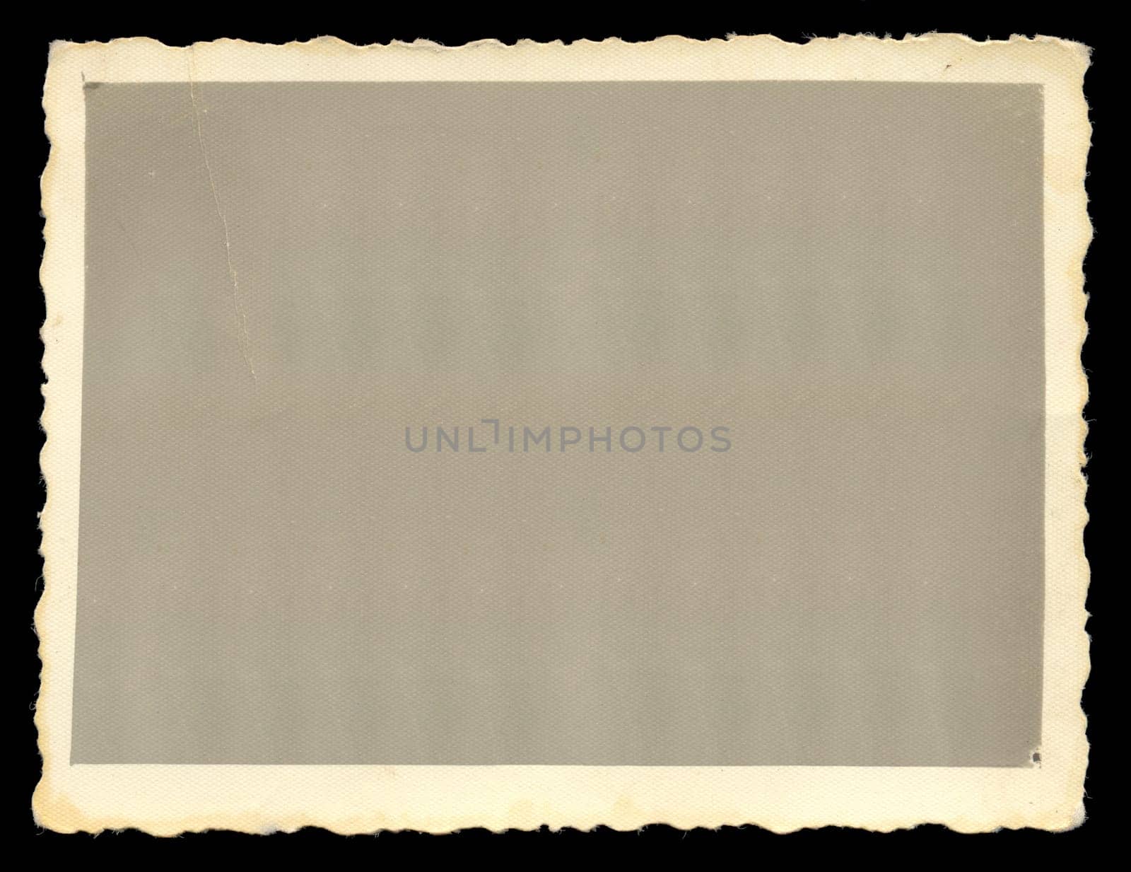Vintage old blank photograph design element with white border.