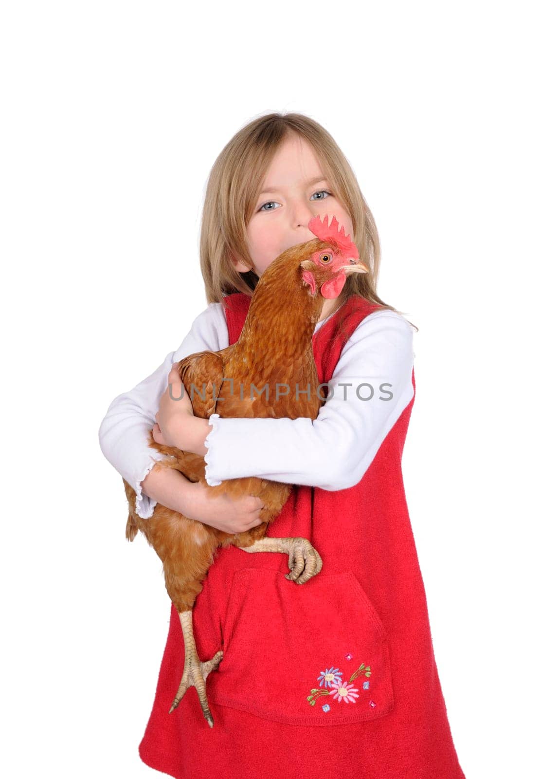 Little girl with chicken
