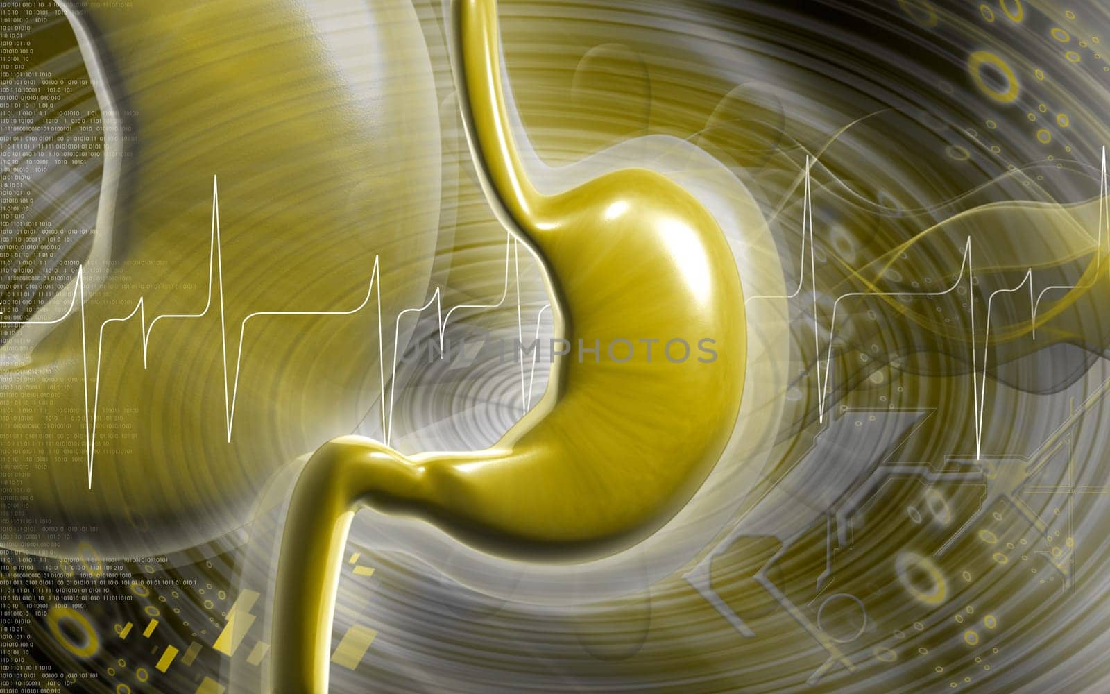 Digital illustration of stomach in colour background