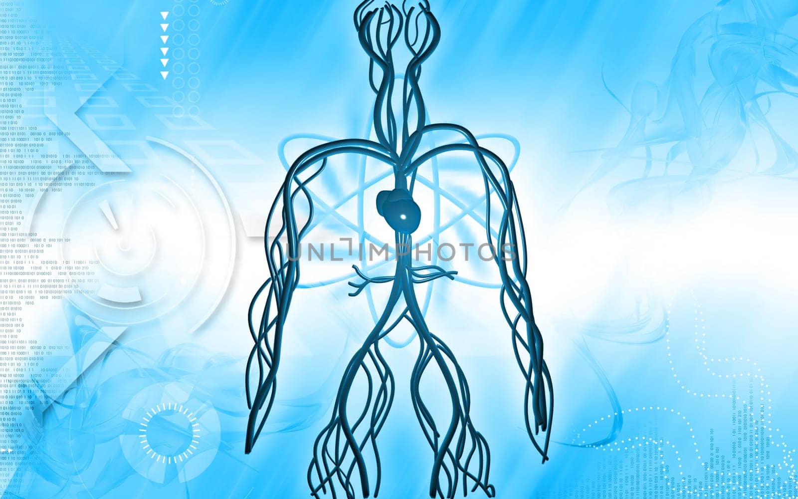 Digital illustration of vascular system in colour background