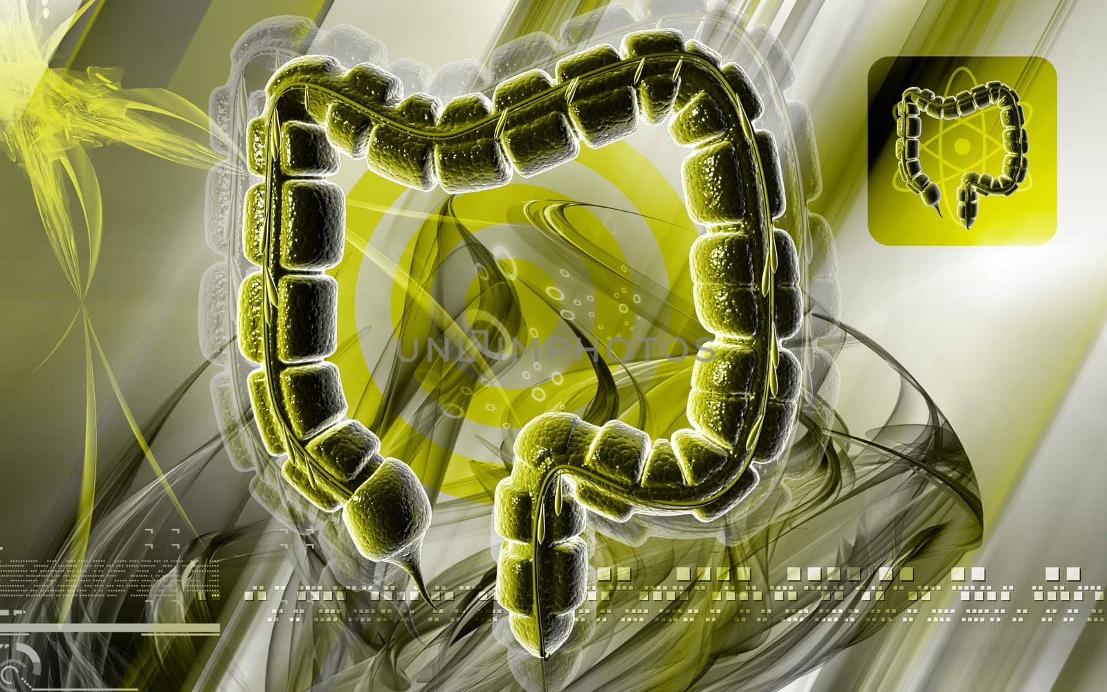 Digital illustration of large intestine in colour background