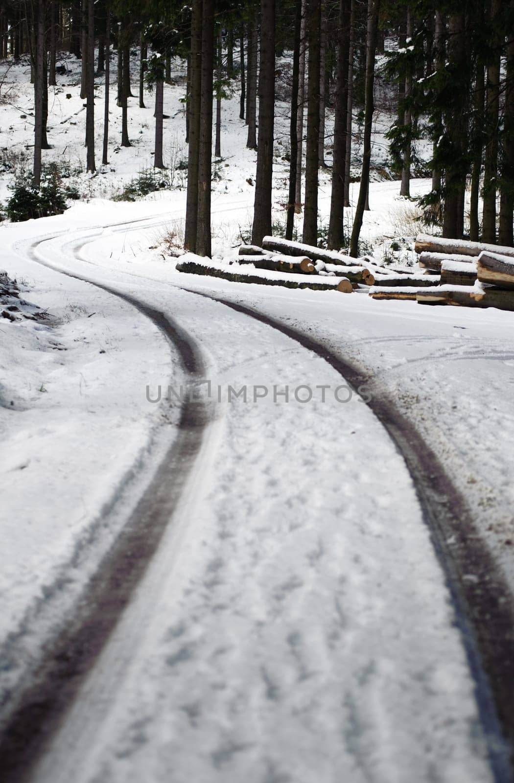 Winding Road in a Winter Forest, taken in Austria