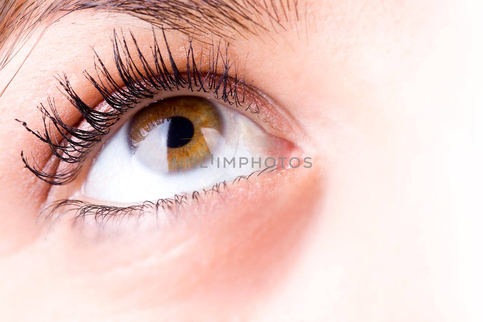 close up of the eyes of a pretty young girl