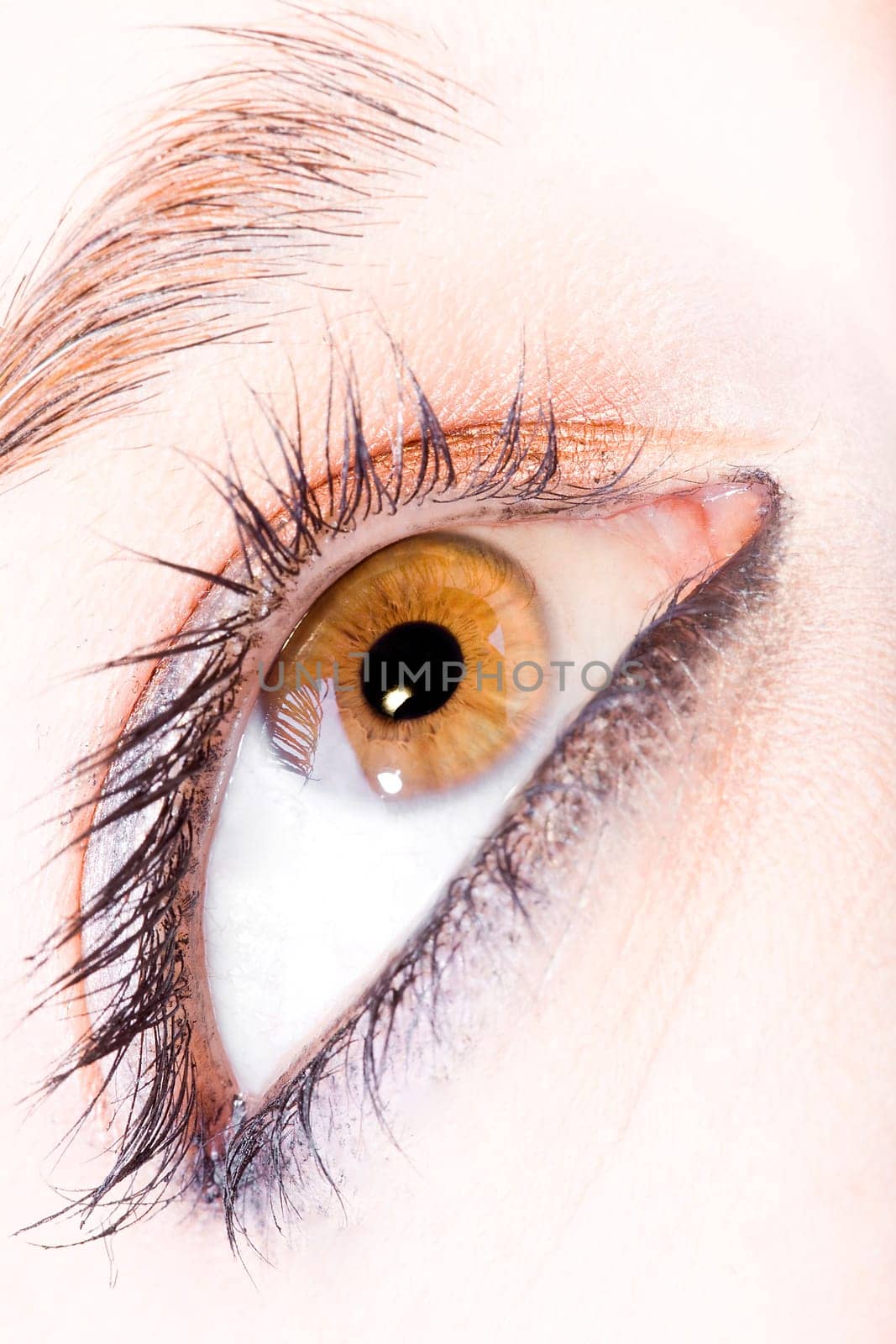 close up of the eyes of a pretty young girl