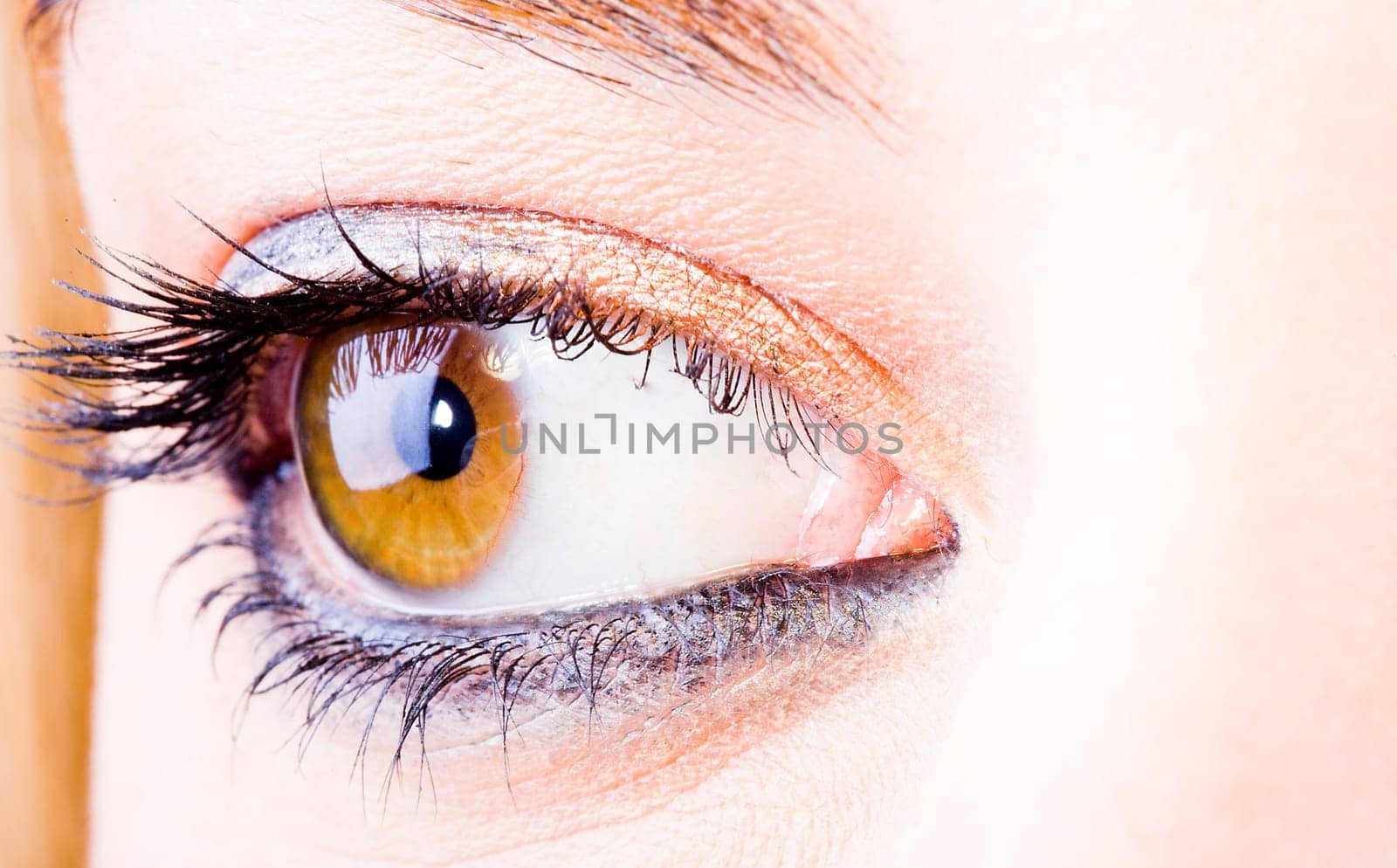 close up of the eyes of a pretty young girl