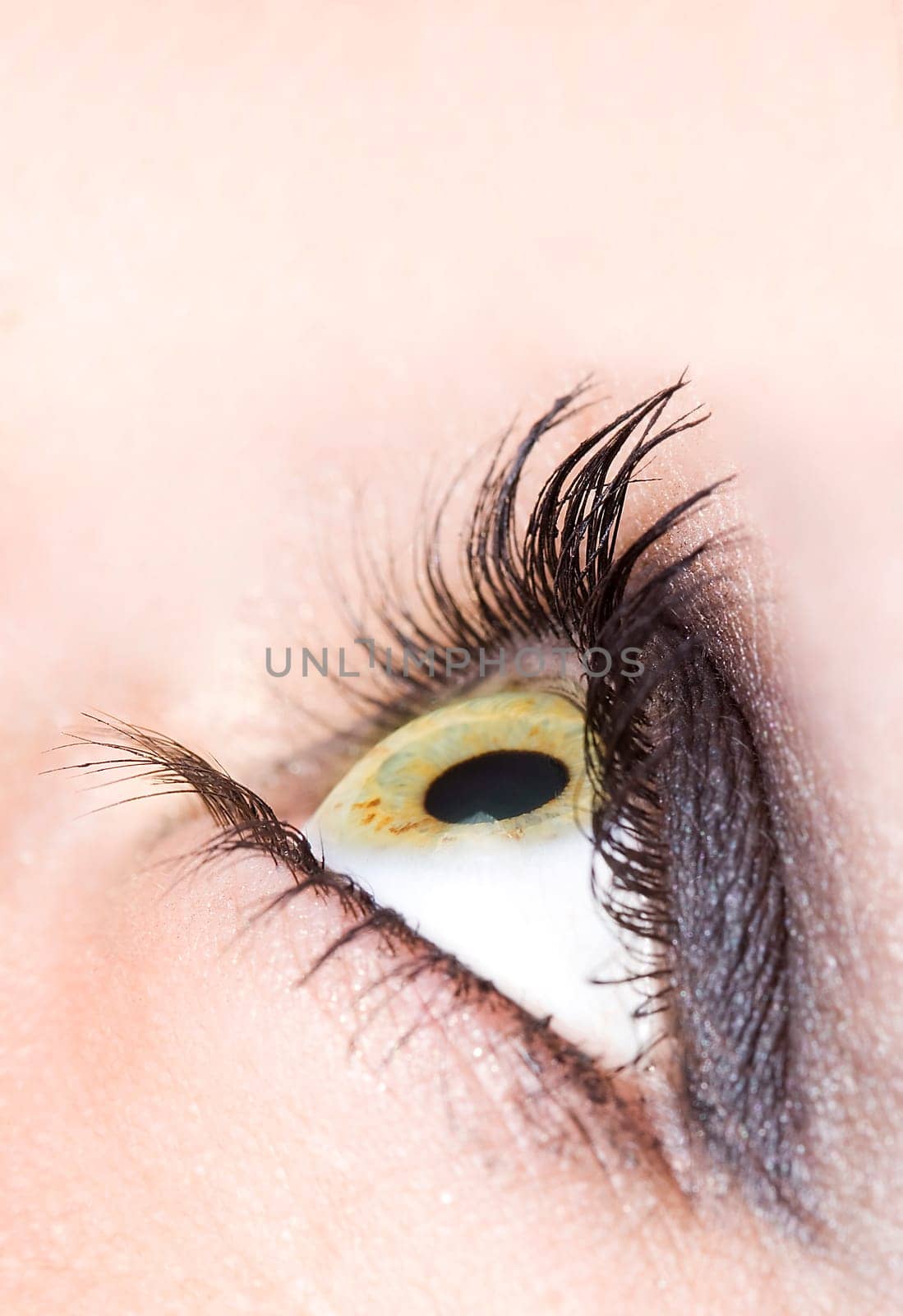 close up of the eyes of a pretty young girl