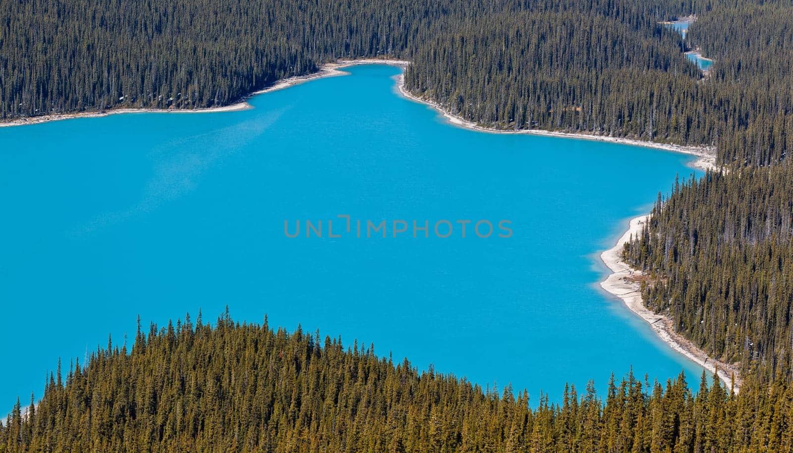 Peyto Lake, Icefields Parkway, Banff National Park, Canadian Rockies, Alberta, Canada
