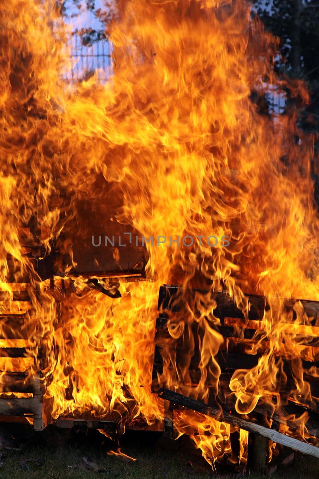 Big fire with blazing flames close-up