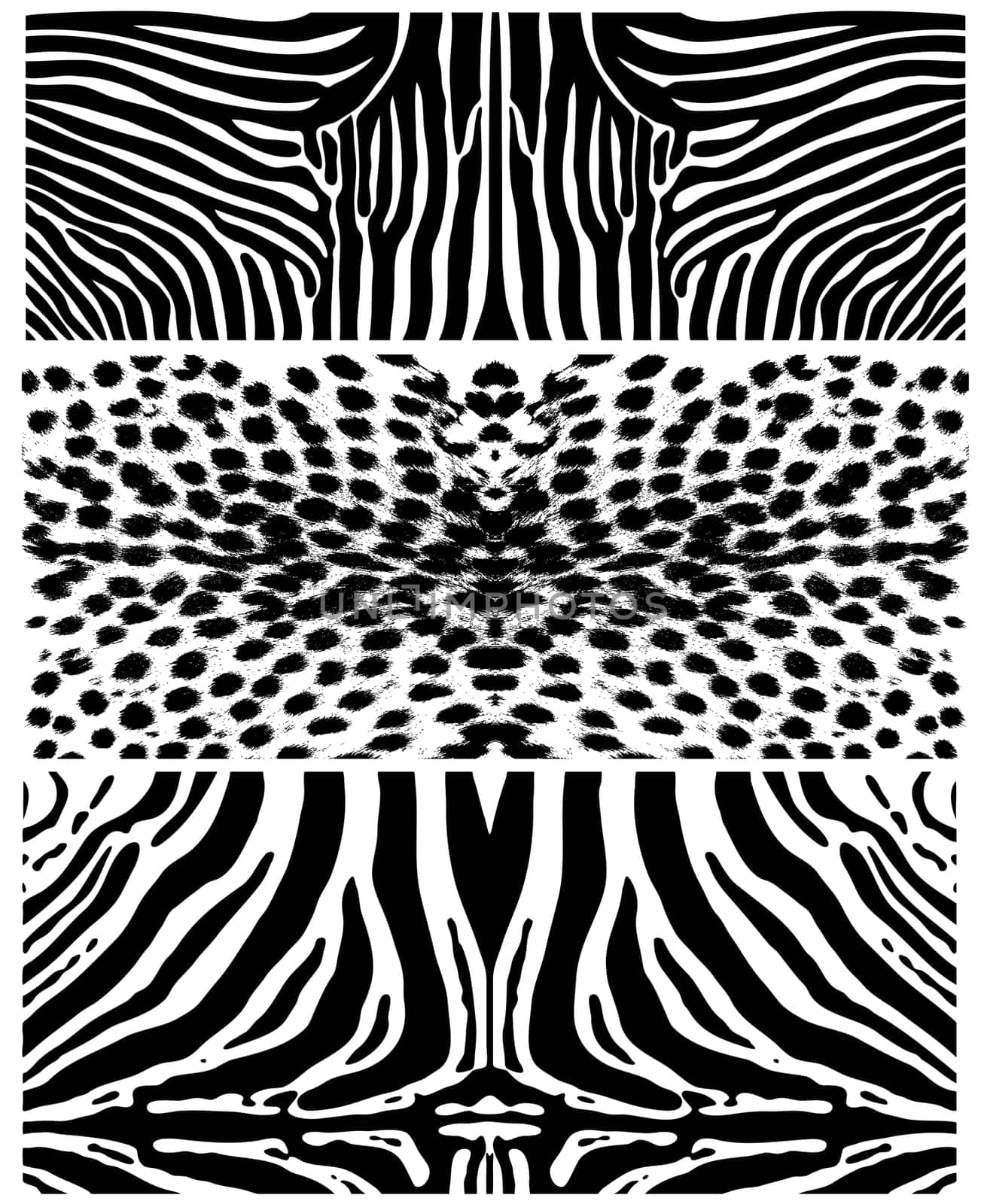 Illustration of the patterns of african animals