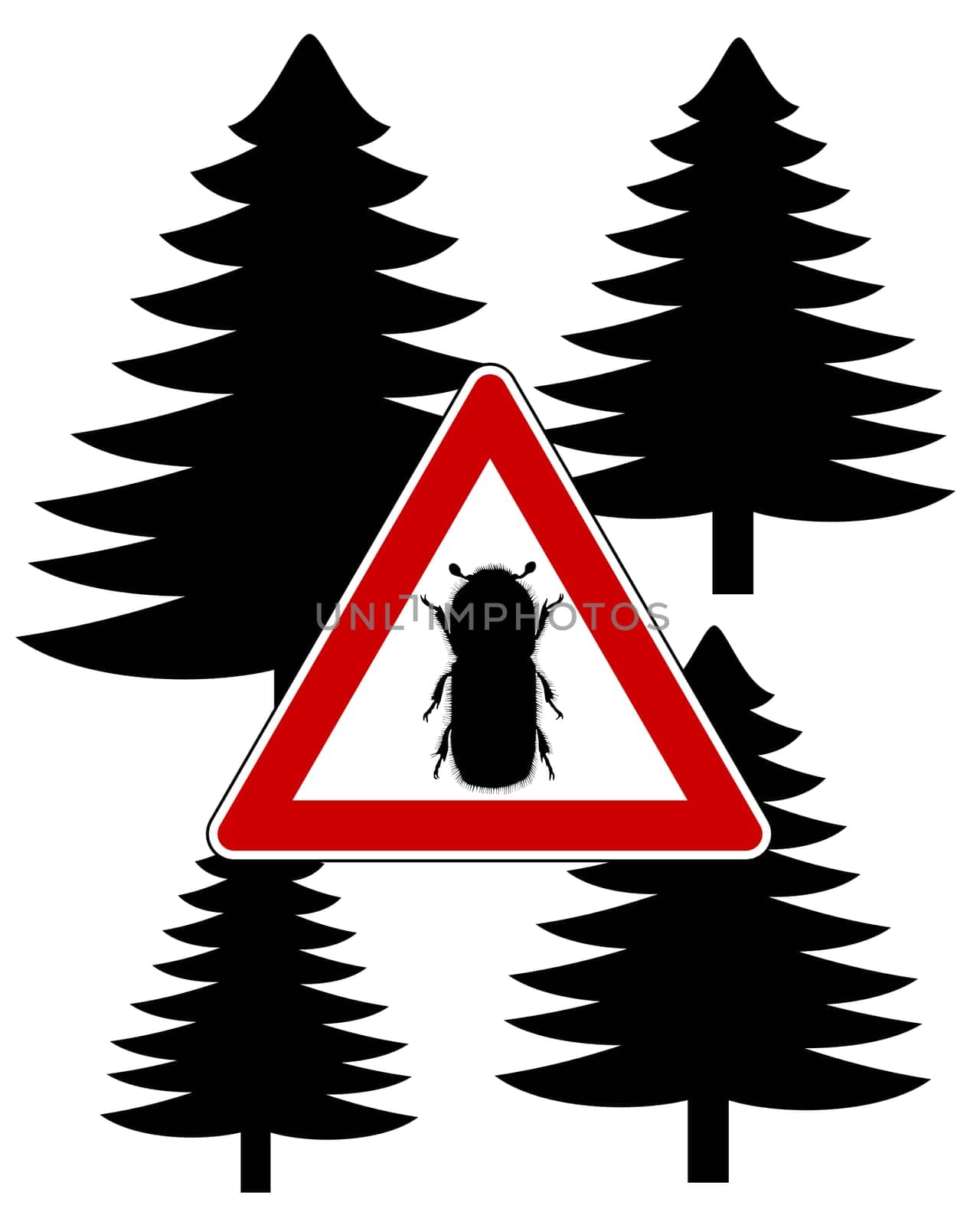 Spruce bark beetle attention