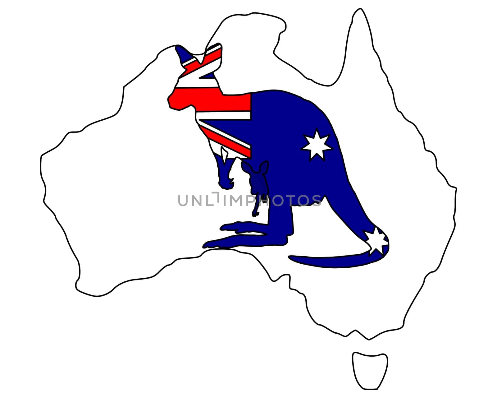 Australian kangaroo