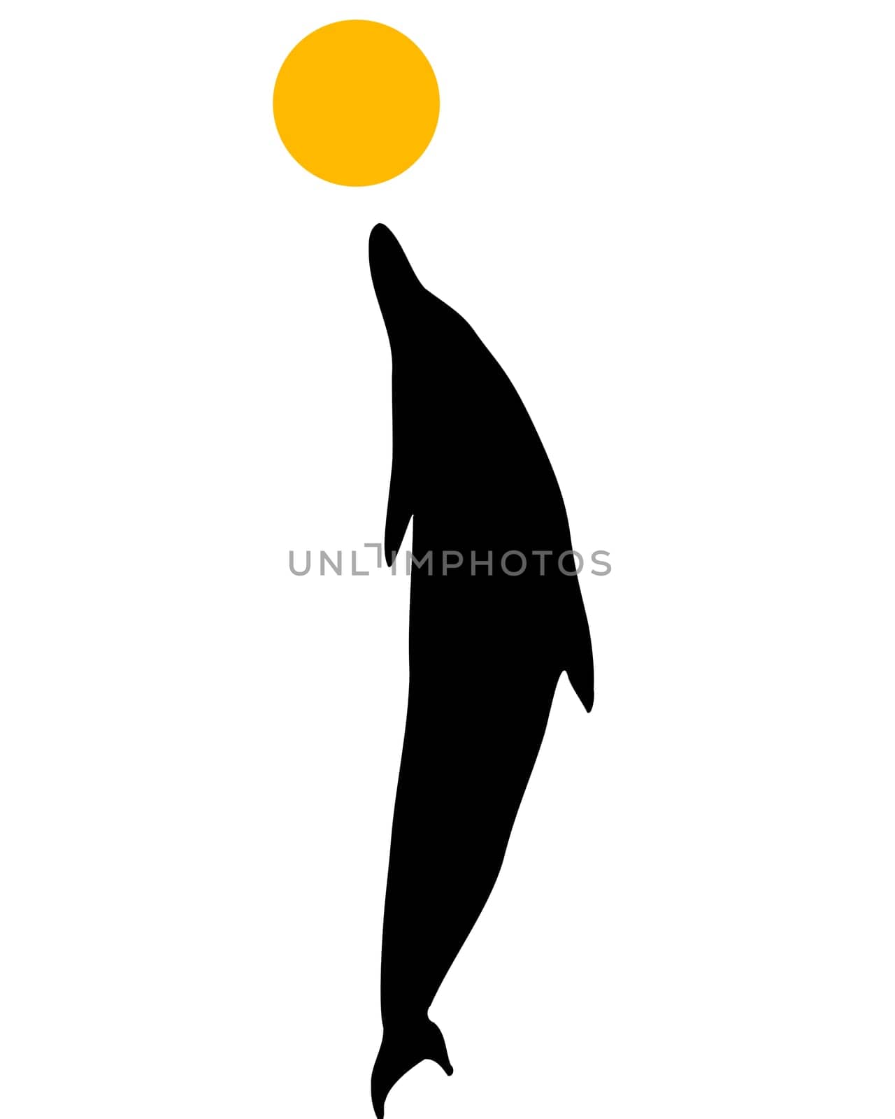 Dolphins Silhouette