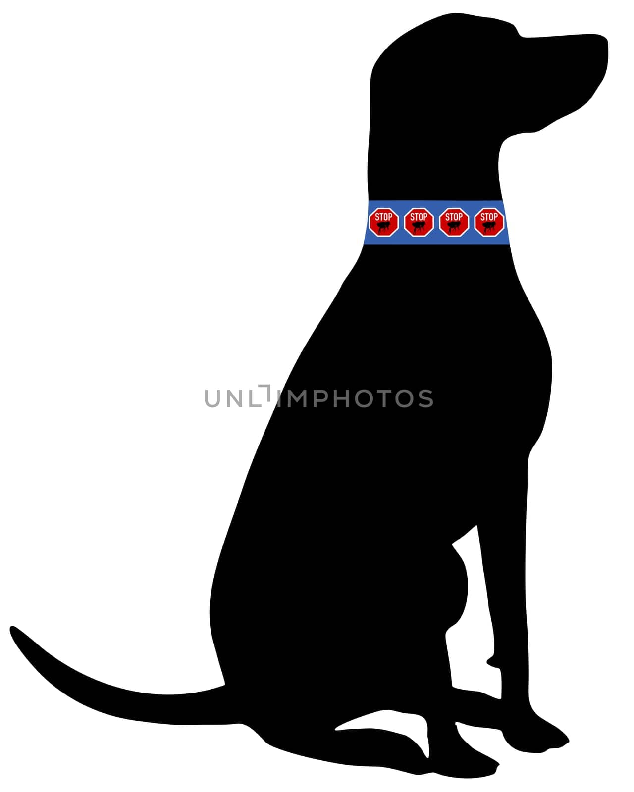 Dog Flea Collar