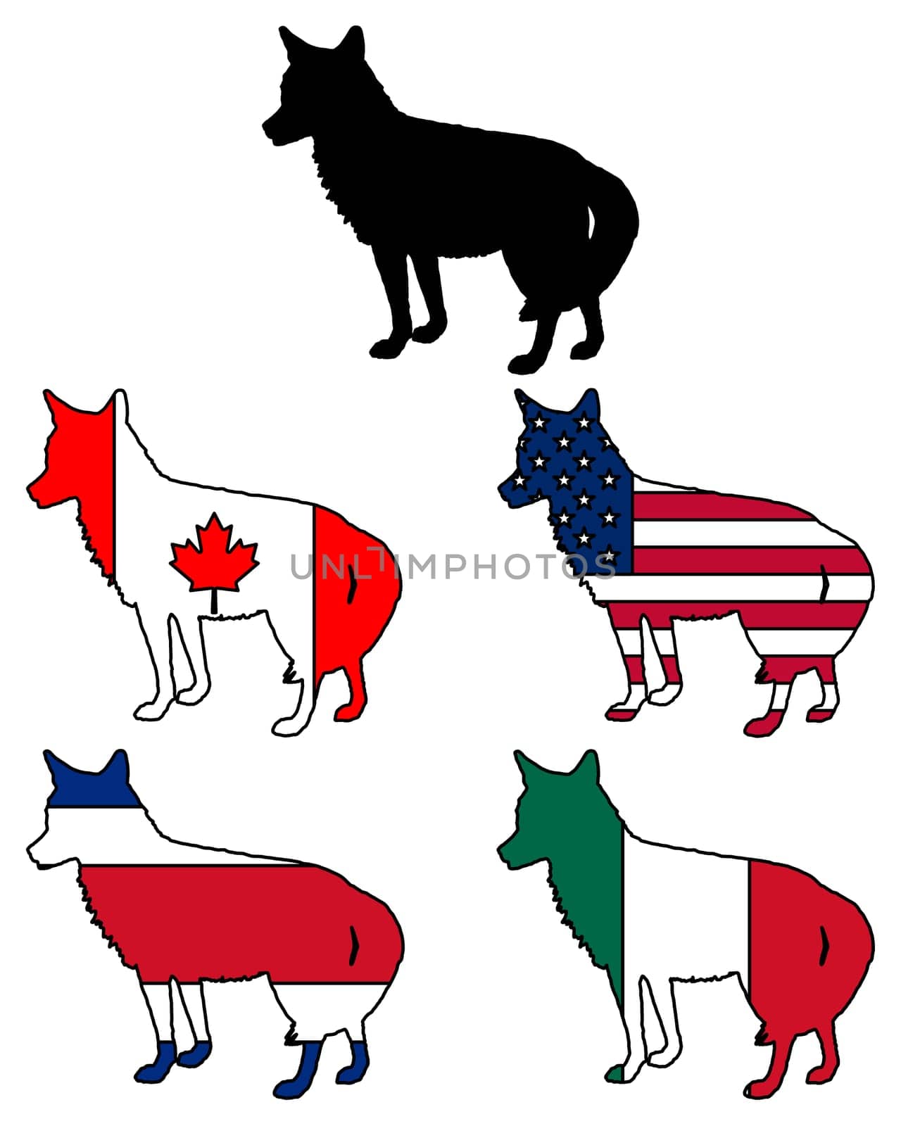Coyote Flags