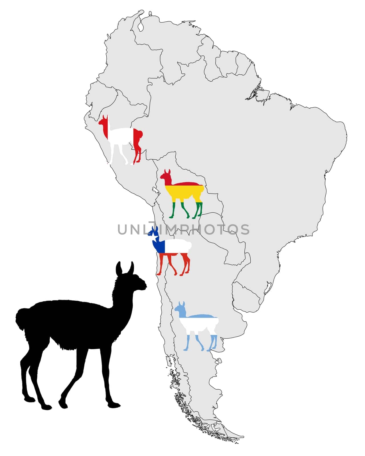 Guanaco Distribution